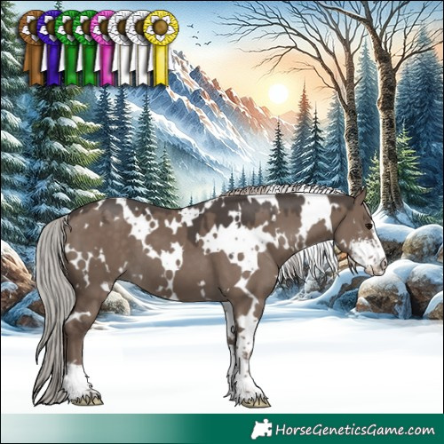 Horse Color:White Spotted Silver Grullo Sabino 