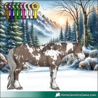 Horse Color:White Spotted Silver Grullo Sabino 