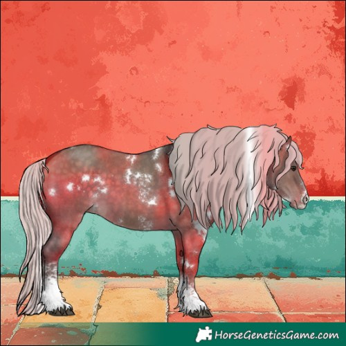 Horse Color:White Spotted Silver Brown Dun Sabino 
