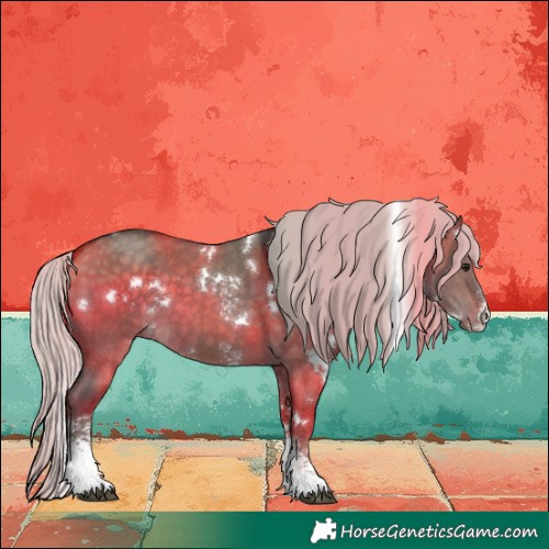 Horse Color:White Spotted Silver Brown Dun Sabino 
