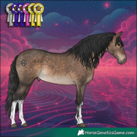 Horse Color:White Spotted Brown Dun 