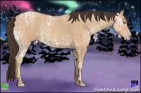 Horse Color:Amber Champagne Ice Sabino