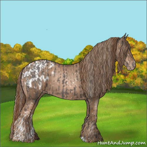 Horse Color:Silver Black Appaloosa  and Liver Chestnut Pearl Appaloosa 