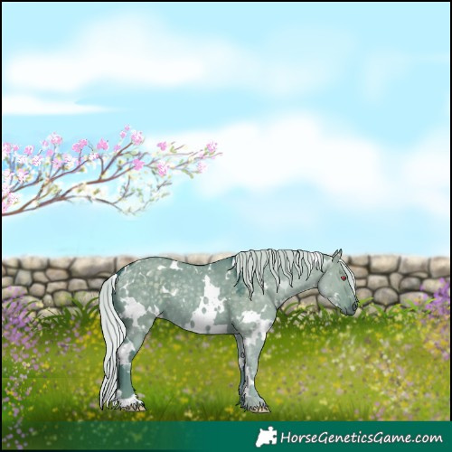 Horse Color:Watercolor White Spotted Silver Grullo Chinchilla