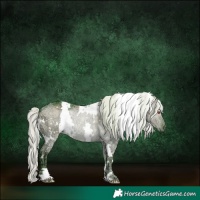 Horse Color:Watercolor White Spotted Silver Grullo Chinchilla Ice 