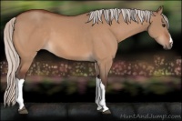 Horse Color:Silver Bay Dun 