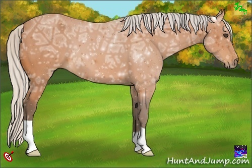 Horse Color:Silver Bay Ice 