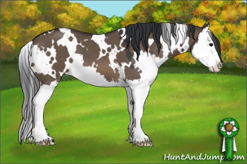 Horse Color:White Spotted Brown Dun Splash 