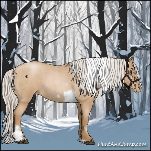 Horse Color:Silver Blue Roan Pearl Tobiano Frame