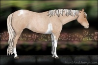 Horse Color:Silver Blue Roan Pearl Tobiano Frame 