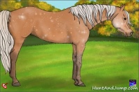 Horse Color:Silver Bay 