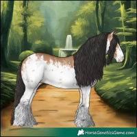 Horse Color:White Spotted Bay Dun