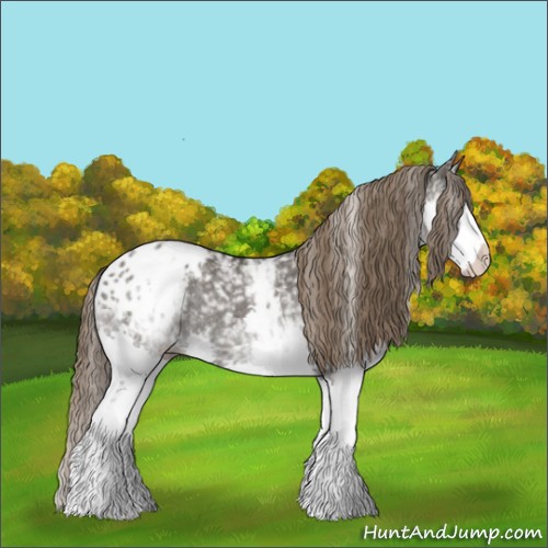 Horse Color:White Spotted Grullo Splash Appaloosa Rabicano 