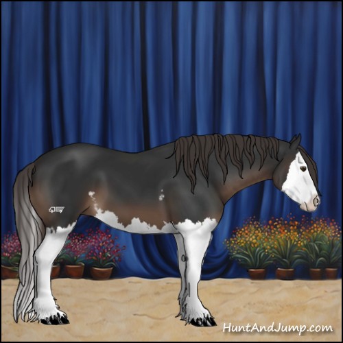 Horse Color:White Spotted Liver Chestnut Splash 