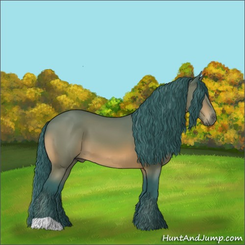 Horse Color:Watercolor Bay 