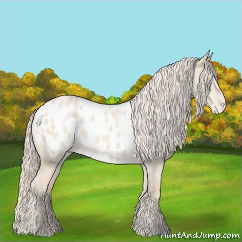 Horse Color:Cremello Dun Appaloosa 