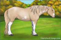 Horse Color:Red Roan Pearl Tobiano Frame 