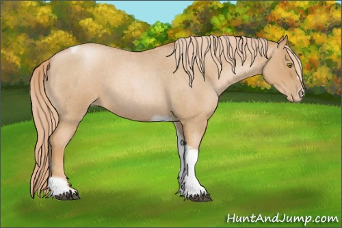 Horse Color:Red Roan Pearl Tobiano Frame 