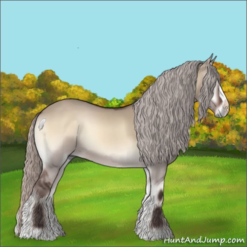 Horse Color:Silver Brown Onyx 