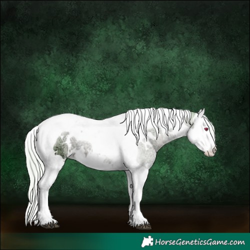 Horse Color:Watercolor White Spotted Silver Grullo Chinchilla Ice Splash Tobiano 