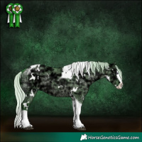 Horse Color:Watercolor White Spotted Silver Grullo Chinchilla Ice Splash Tobiano