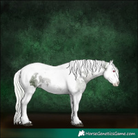Horse Color:Watercolor White Spotted Silver Grullo Chinchilla Ice Splash Tobiano 