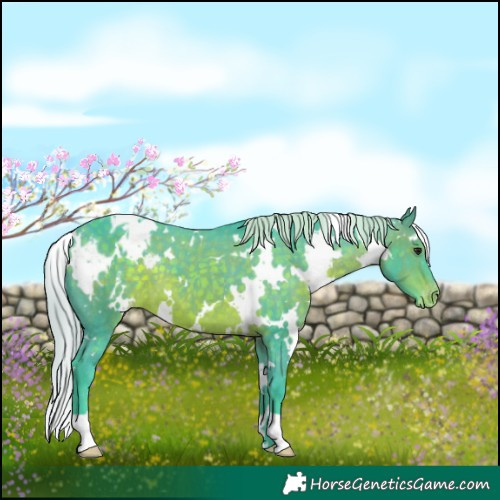 Horse Color:Watercolor White Spotted Silver Brown Varnish 