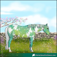 Horse Color:Watercolor White Spotted Silver Brown Appaloosa