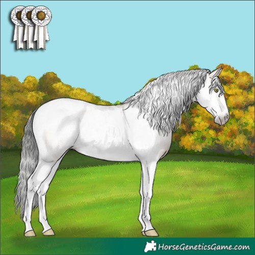 Horse Color:Gray Sable Champagne Dun Sabino Tobiano 