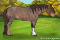 Horse Color:Liver Red Roan 