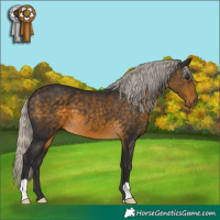 Horse Color:Silver Buckskin 