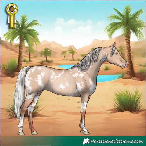 Horse Color:White Spotted Silver Sable Champagne Dun Rabicano 