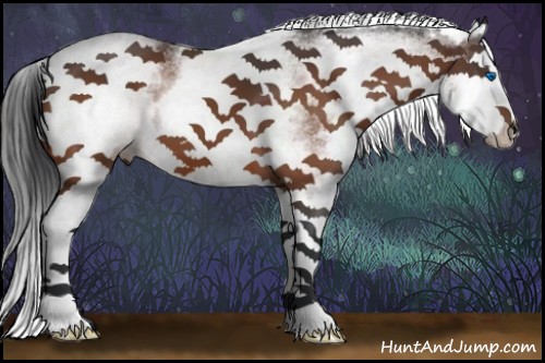 Horse Color:White Spotted Bay Splash 