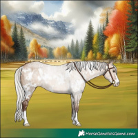 Horse Color:White Spotted Silver Bay Ice Dun Sabino 