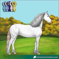 Horse Color:Chocolate Grullo Ice Pearl Onyx Sabino Splash Tobiano Appaloosa 