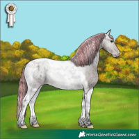 Horse Color:Painted Chocolate Grullo Ice Onyx Tobiano Appaloosa 