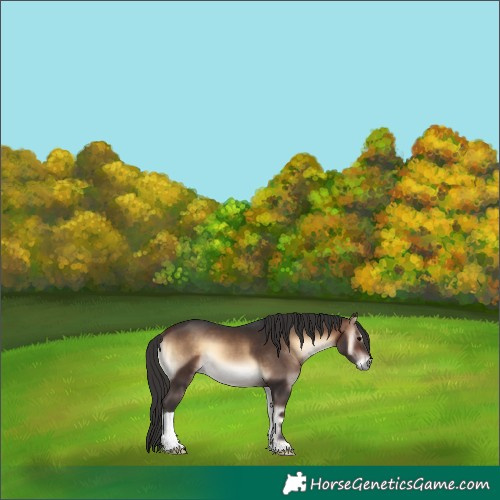 Horse Color:Brown Onyx