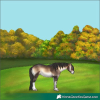 Horse Color:Brown Onyx 