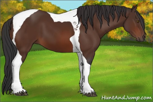 Horse Color:Brown Tobiano