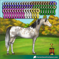 Horse Color:Grullo Roan Tobiano Frame Rabicano Brindle and White Spotted Buckskin Dun Sabino Splash Appaloosa Rabicano Brindle