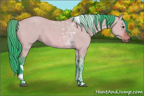 Horse Color:Unknown 