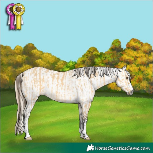 Horse Color:Buckskin Dun and Gray Buckskin Dun Blanket