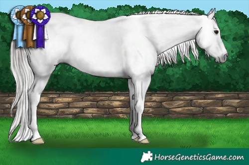Horse Color:Gray Bay Dun Tobiano Blanket and Gray White Spotted Liver Red Dun Near Leopard