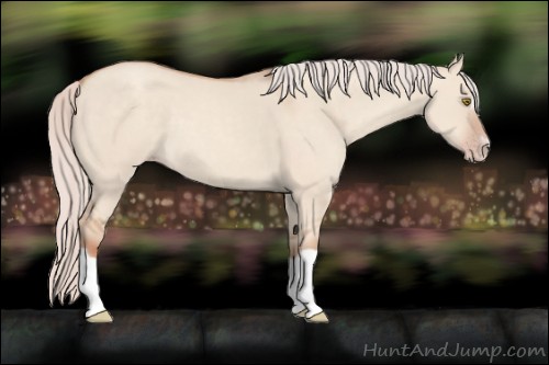 Horse Color:Silver Classic Champagne Dun Splash Frame