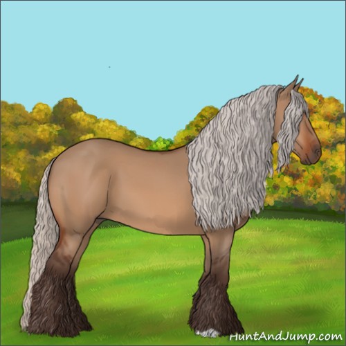 Horse Color:Silver Bay Dun 