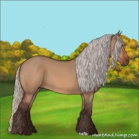 Horse Color:Silver Bay Dun 