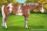Horse Color:White Spotted Silver Bay Splash 
