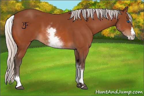 Horse Color:White Spotted Silver Bay Splash 