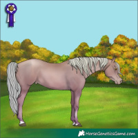 Horse Color:Chestnut Pearl