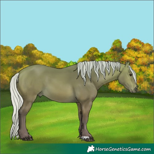 Horse Color:Silver Buckskin 